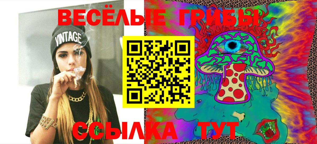 Псилоцибиновые грибы Cubensis Новотроицк