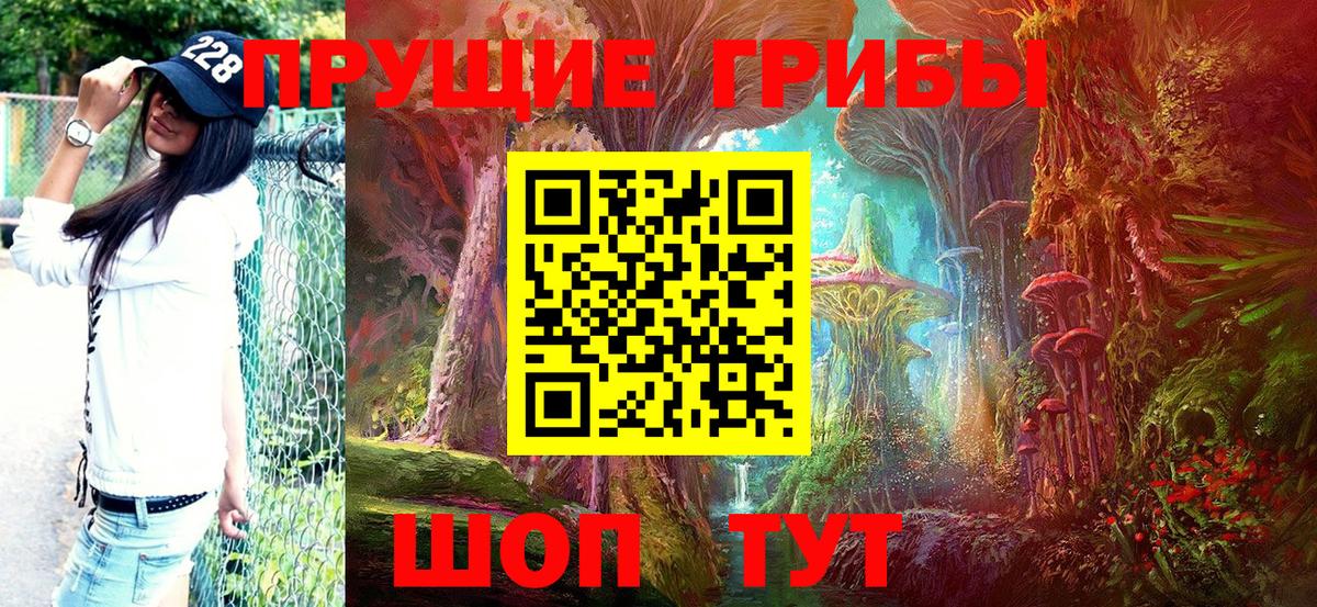 Новотроицк  Галлюциногенные грибы Psilocybine cubensis  цены наркотик  Псилоцибиновые грибы прущие грибы  Вход с VPN 